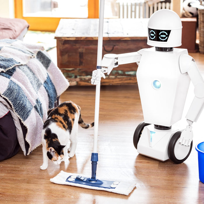 How to Choose the Right Home Robot for Your Needs